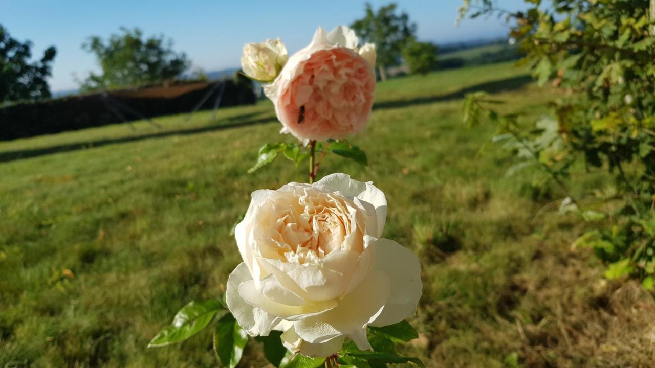 Belle Visnonia B&B Gluten Free & Traditional Béganne 外观 照片