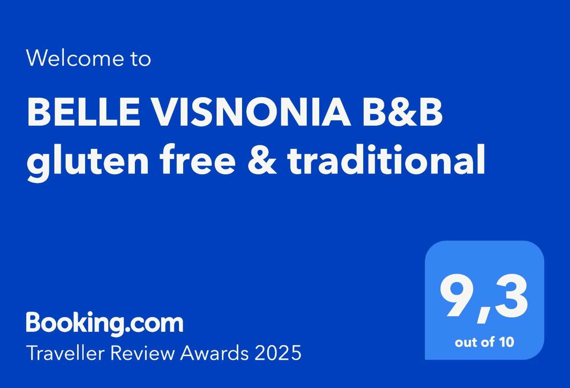 Belle Visnonia B&B Gluten Free & Traditional Béganne 外观 照片
